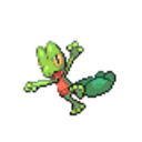 252 Treecko icon